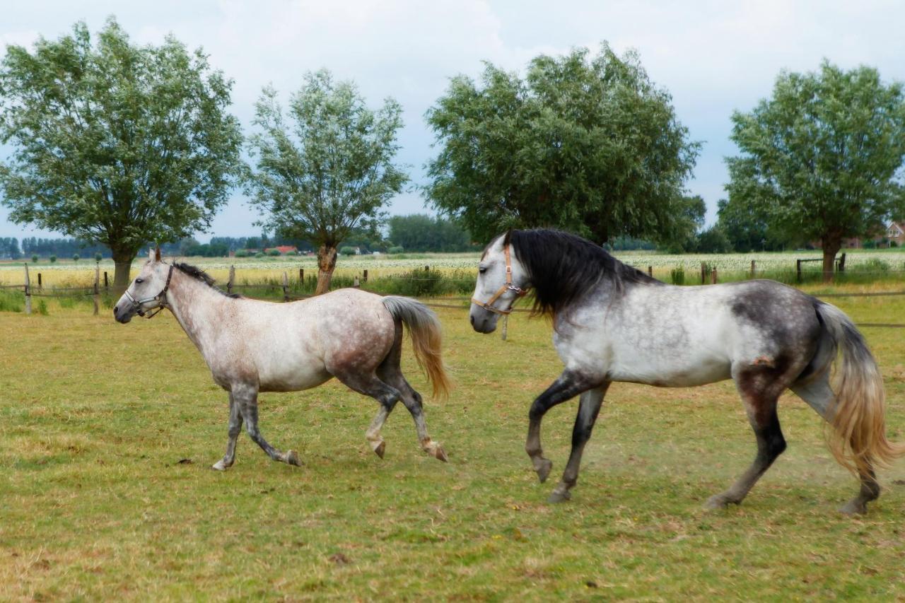 Het Zoete Peerd Bed & Breakfast