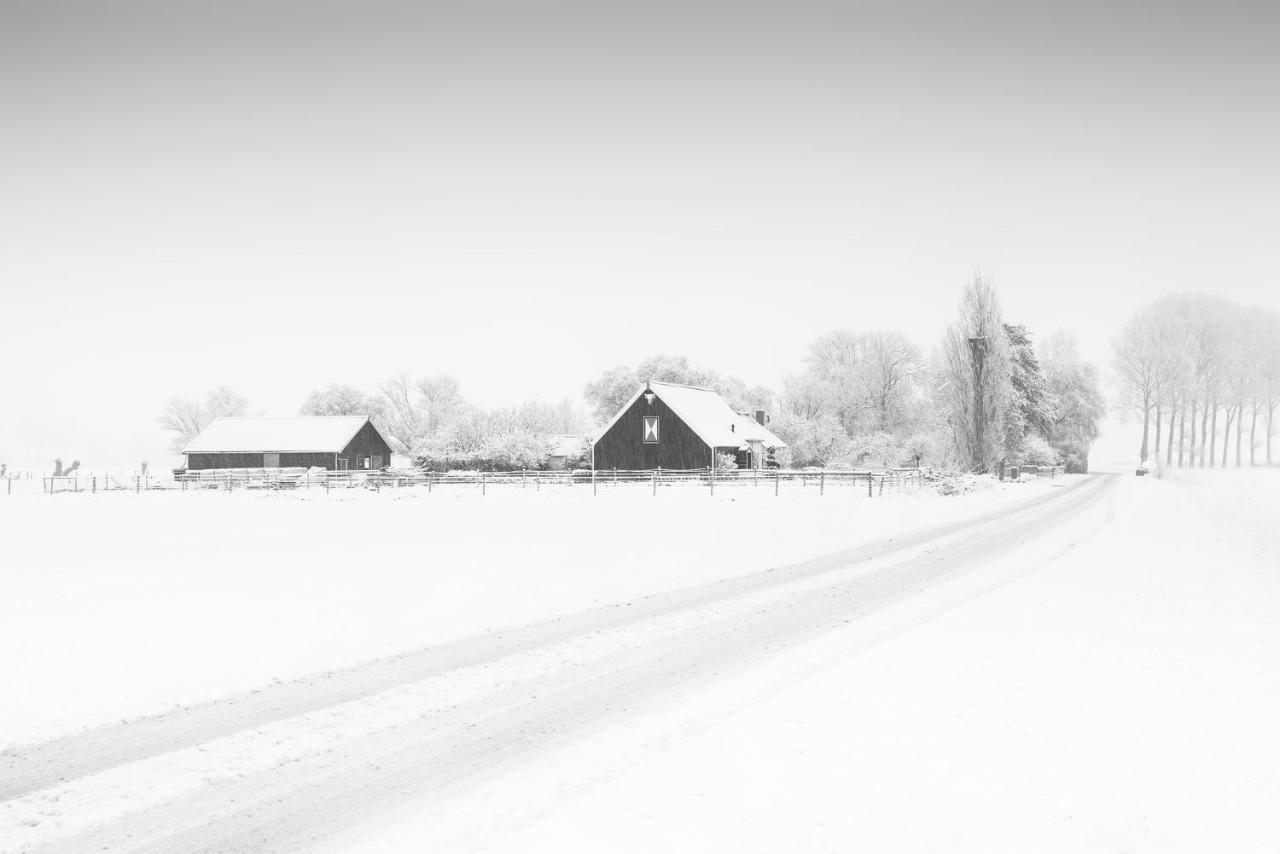 Het Zoete Peerd 3*